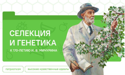 разговоры о важном