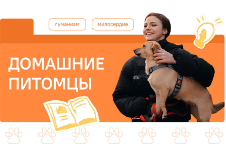 разговоры о важном