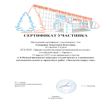 Сертификат Сиверина Анастасия Олеговна