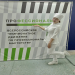 Отборочный этап Всероссийского Чемпионата по профессиональному мастерству «Профессионалы»