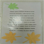 Теплота сердец