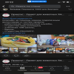 Студенты посетили приют для животных «Ласка»