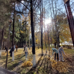 по санитарной очистке и благоустройству территорий Октябрьского района города Барнаула 