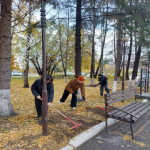 по санитарной очистке и благоустройству территорий Октябрьского района города Барнаула 
