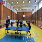🏓 НАСТОЛЬНЫЙ ТЕННИС