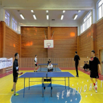 🏓 НАСТОЛЬНЫЙ ТЕННИС