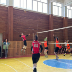 Турнир по волейболу 