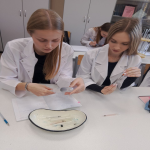 Сделать правильный выбор