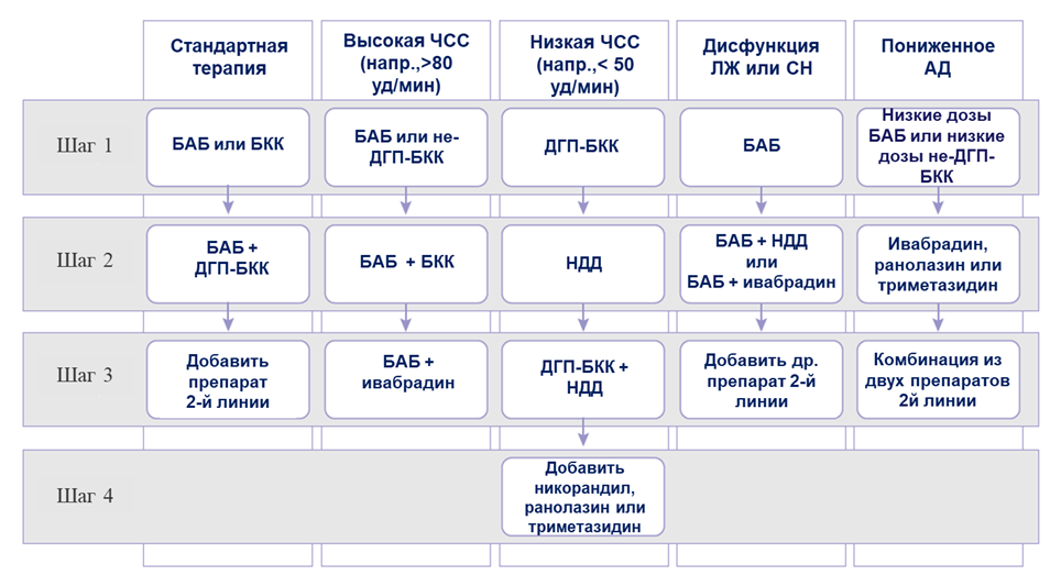 Примечание: БАБ — бета-адреноблокаторы; ДГП-БКК — дигидропиридиновые блокаторы 