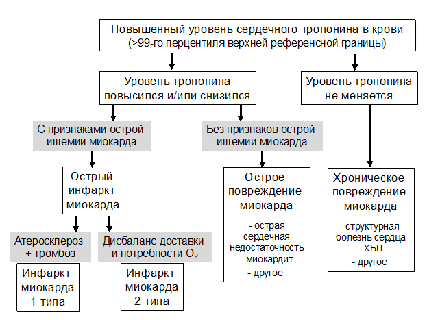 Критерии диагностики инфаркта миокарда