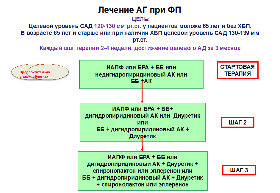 Стратегия лекарственной терапии при сочетании АГ и ФП