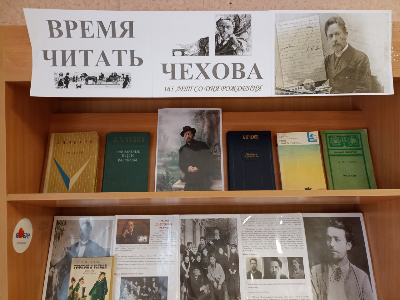 выставка