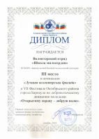 Диплом Школа милосердия 3 место Лучшая волонтерская бригада