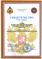Свидетельство участника 1 этапа соревнований Человеческий фактор