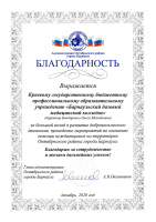 Благодарность за вклад в развитие добровольческого движения