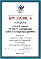 Благодарность сборной команде ББМК за участие в спортивно-патриотическом празднике Холодные игры