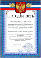 Благодарность Киндяковой ОВ Всемирный день памяти жертв ДТП