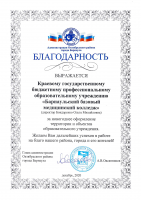 Благодарность за новогоднее оформление территории и объектов образовательного учреждения