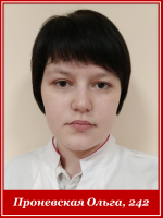Проневская Ольга 242