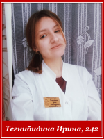 Тегнибидина Ирина 242
