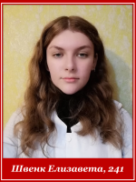 Швенк Елизавета 241