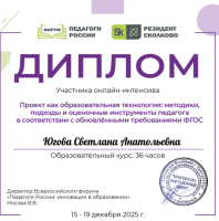 Участие руководителя проекта «Тропинка в финансовую грамотность» в региональных конкурсах и всероссийских научно-практических конференциях (статьи и выступления по финансовой грамотности)