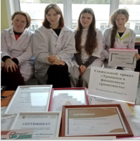 Направления деятельности проекта: