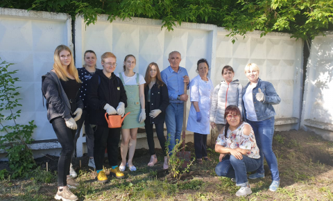 Аптекарский огород