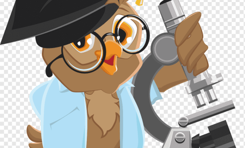 Подведены итоги Межрегионального Конкурса научно-исследовательских работ и проектов «Ученая сова-22», состоявшегося 26 мая на базе Барнаульского базового медицинского колледжа.