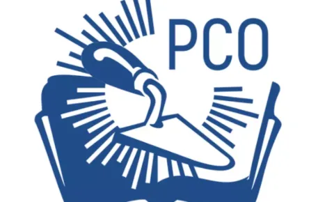 Российские студенческие отряды (логотип)