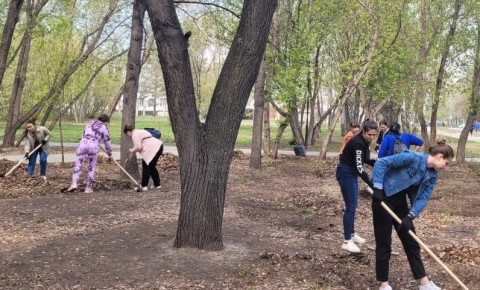 Субботник, посвященный 77-ой годовщине Победы советского народа над нацистской Германией в Великой Отечественной войне 1941-1945 годов