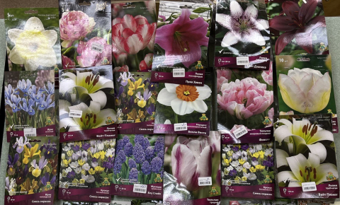 Итоги Недели фармации