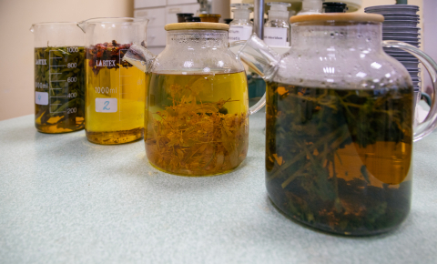 Отделение Фармация нашего колледжа организовало ежегодное мероприятие, посвященное Дню чая, которое прошло 14 декабря