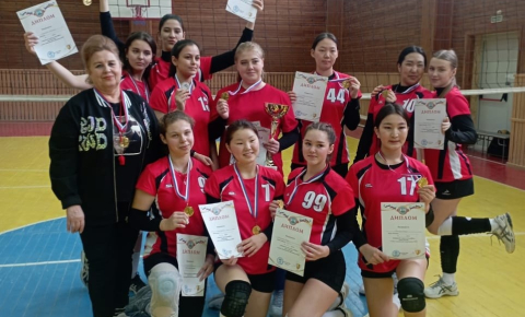 Первенство города Барнаула по волейболу