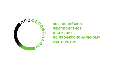 ЧЕМПИОНАТ ПРОФЕССИОНАЛЬНОГО МАСТЕРСТВА «ПРОФЕССИОНАЛЫ»