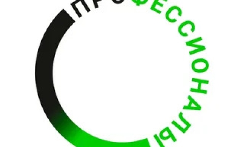 "ПРОФЕССИОНАЛЫ"