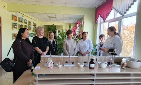 Возможности и перспективы проектной деятельности АИРМО