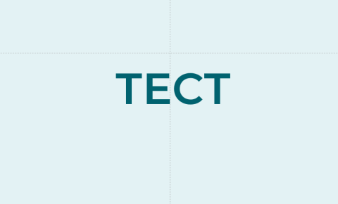 тест