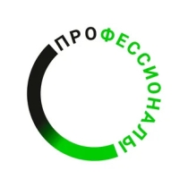 "ПРОФЕССИОНАЛЫ"